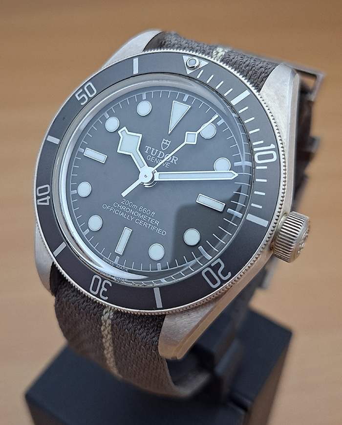 Tudor Black Bay 58 925 Silver Ref. 79010SG